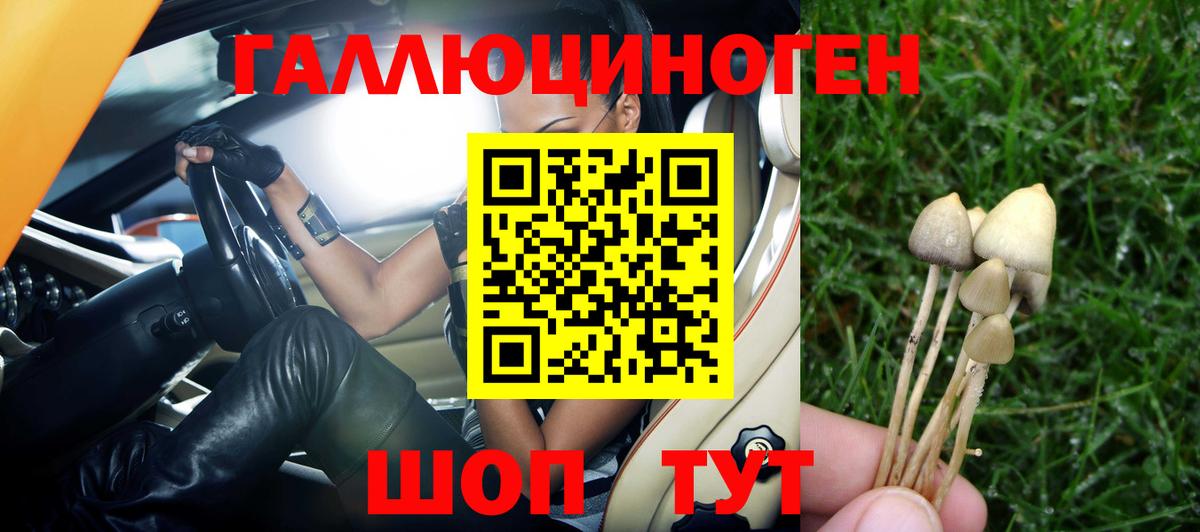 Ахтубинск  Псилоцибиновые грибы Cubensis  Вход с VPN 