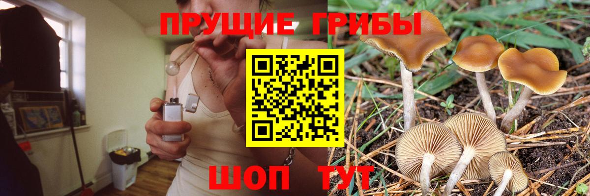 Галлюциногенные грибы ЛСД Ахтубинск